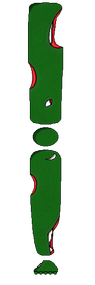 Zombie Leg